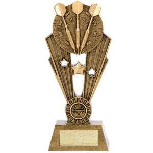 custom darts trophy