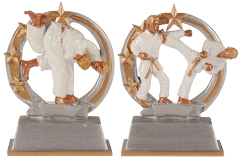 custom karate sport trophy